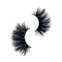 LATINAVIBEZ LASHES